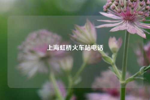 上海虹桥火车站电话