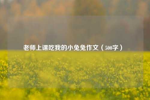 老师上课吃我的小兔兔作文（500字） 