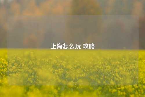 上海怎么玩 攻略