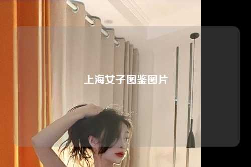 上海女子图鉴图片