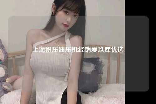 上海积压油压机经销爱玖库优选