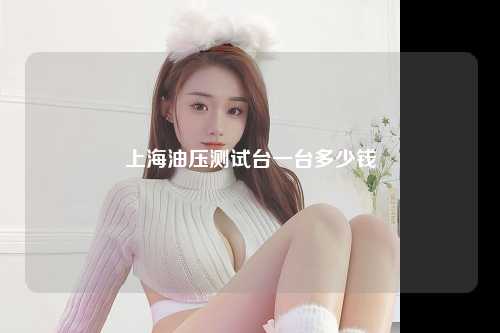 上海油压测试台一台多少钱