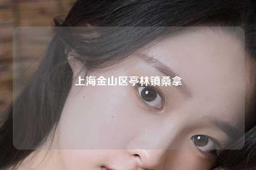 上海金山区亭林镇桑拿