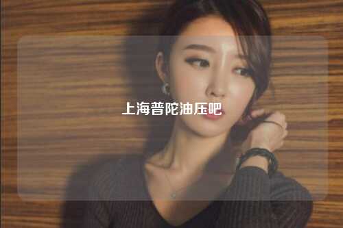 上海普陀油压吧