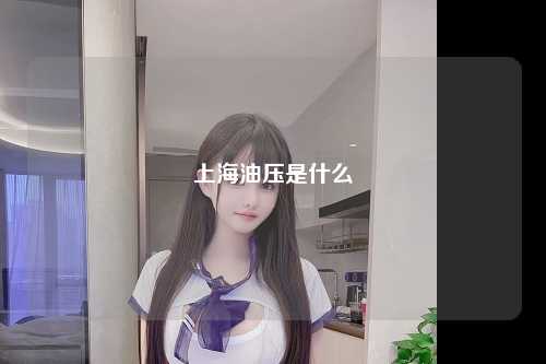 上海油压是什么