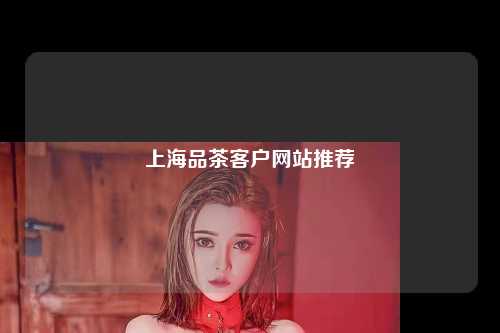 上海品茶客户网站推荐